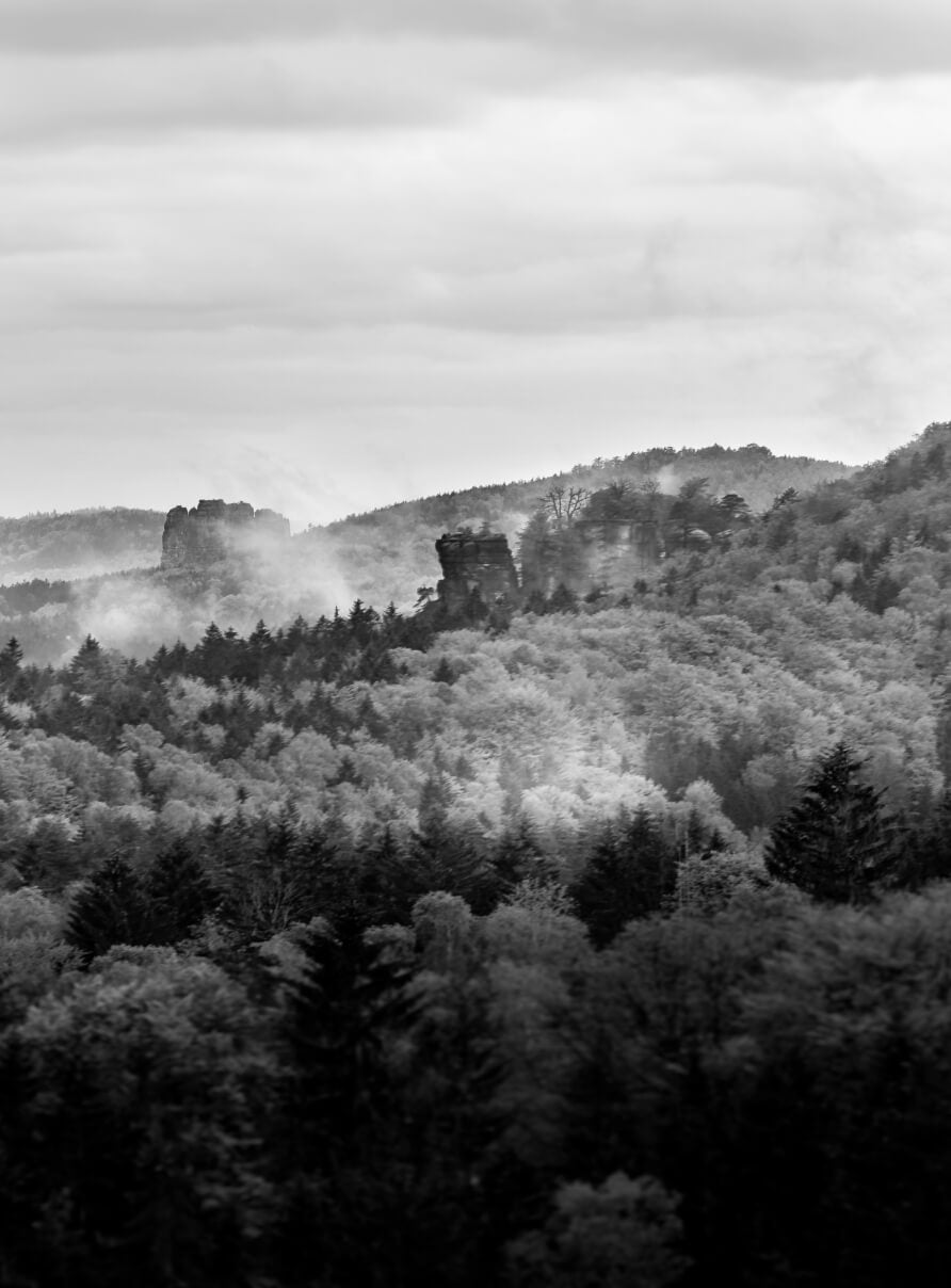 Black and white photo of a misty forest landscape with tree-covered hills and rock formations. The fog drifts gently among the trees, creating a mystical atmosphere. Cloudy sky above adds to the serene and mysterious feel.